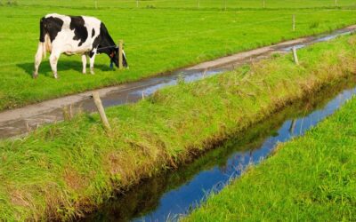 Verbouwing voor rekening bv was uitdeling van winst aan dga